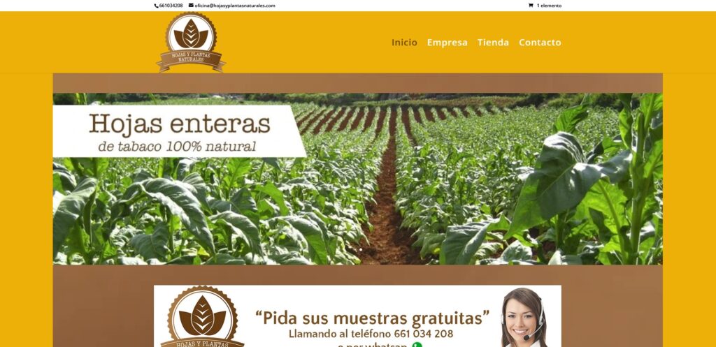 Hojas y plantas naturales