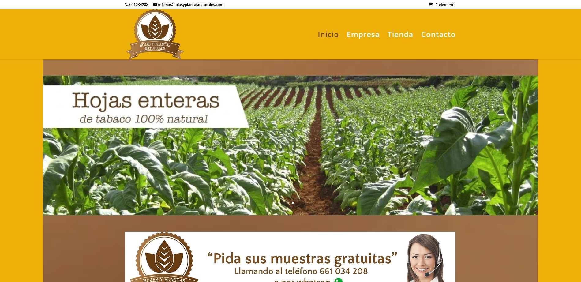 Hojas y plantas naturales